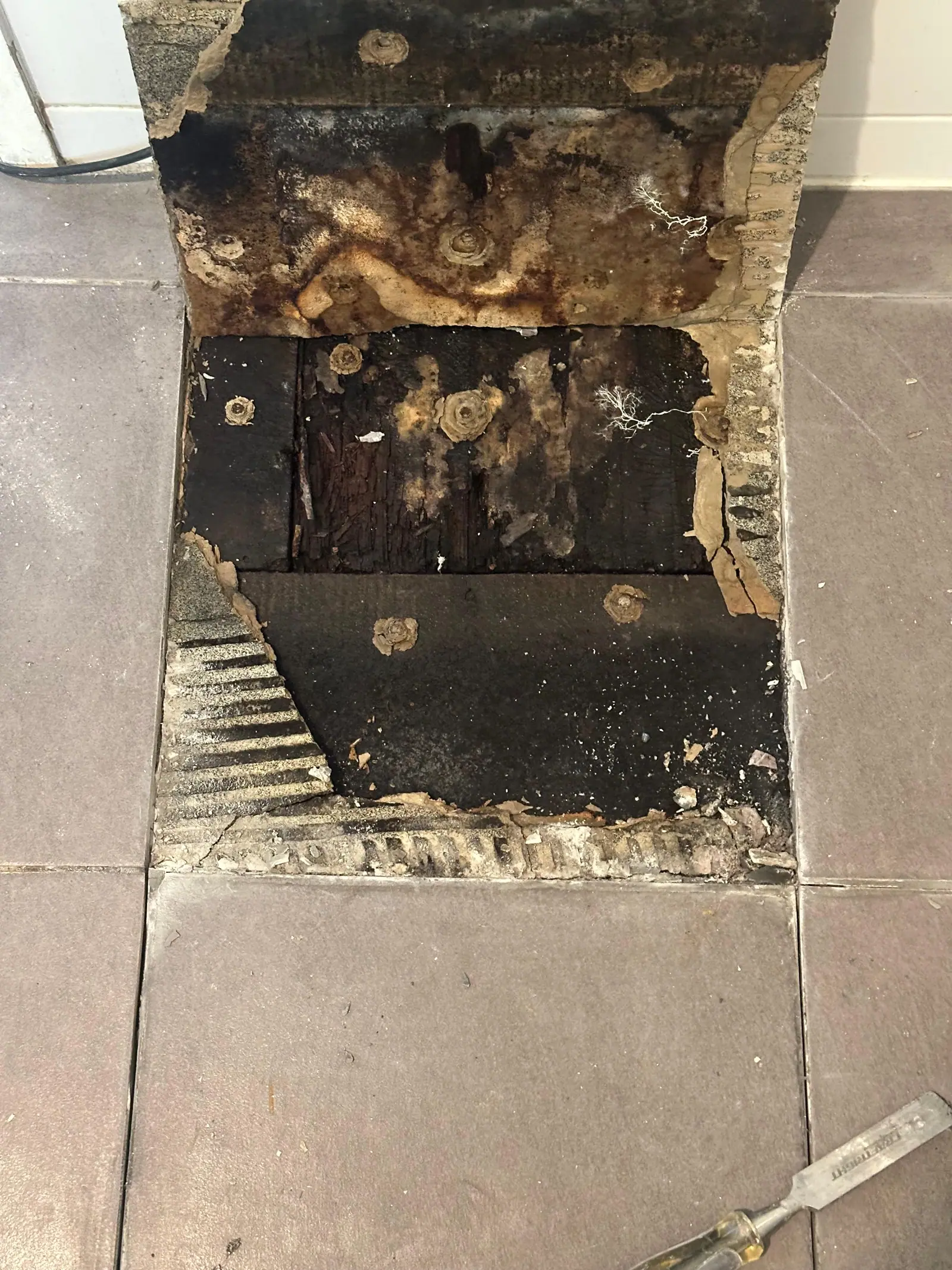 Close view of the damage found in the shower base once the tiles were removed
